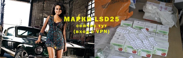 хмурый Осинники